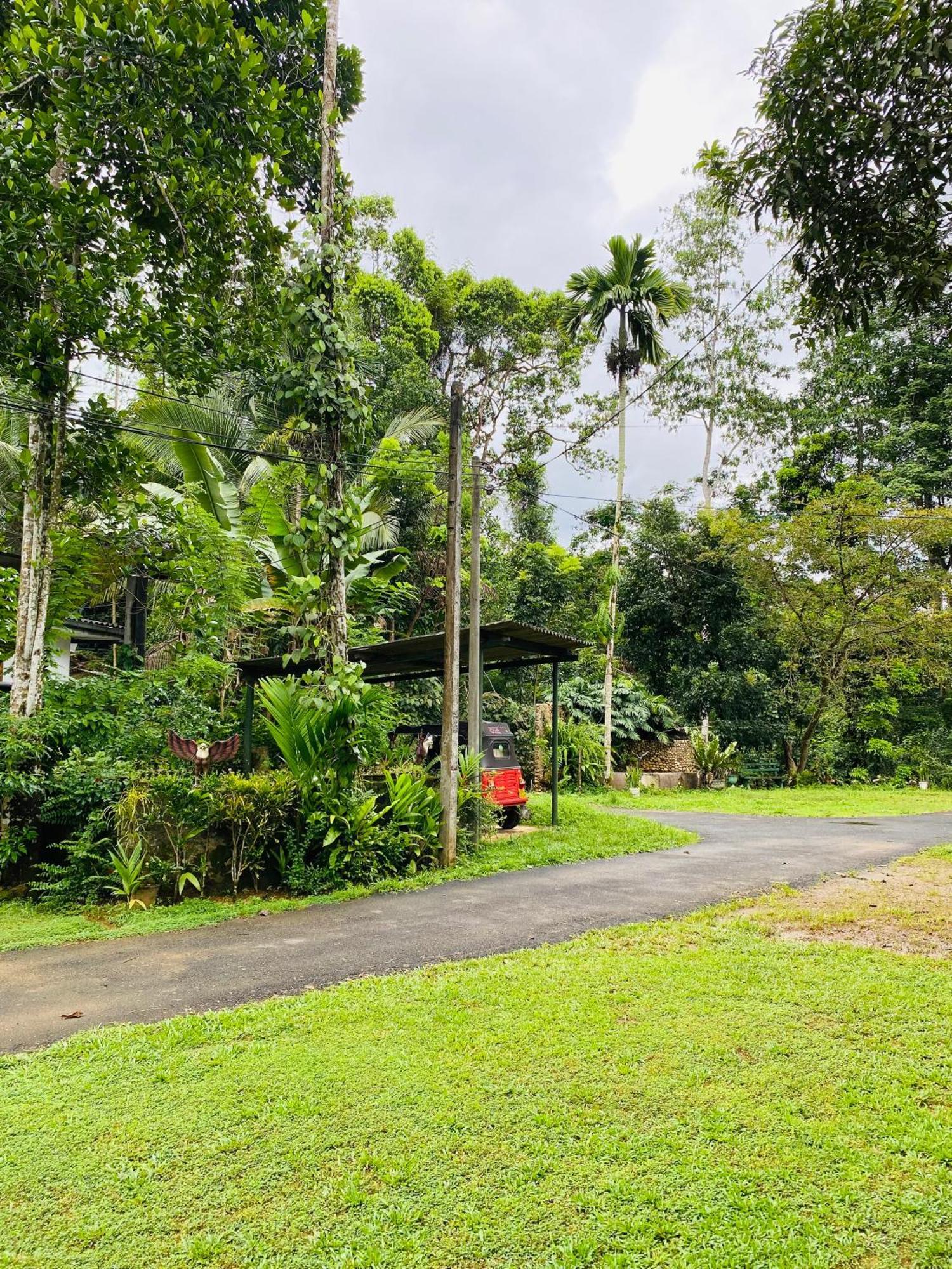 Summer Ridge - Homestay Ratnapura Exteriér fotografie