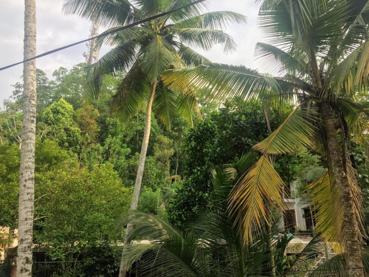 Summer Ridge - Homestay Ratnapura Exteriér fotografie
